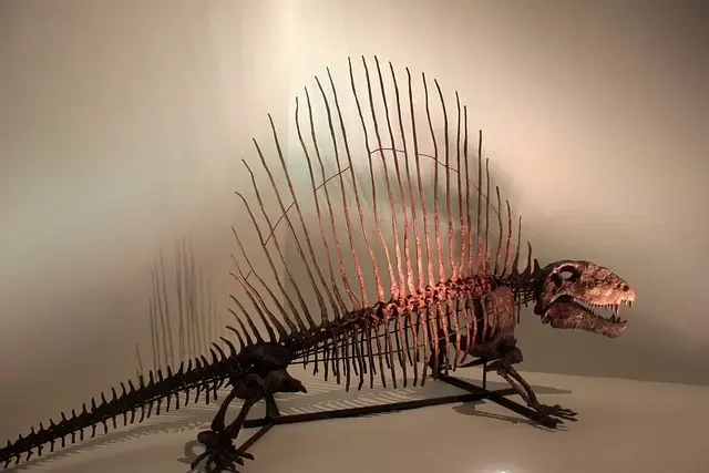 Carnotaurus trivia: Fakta, du måske ikke vidste om denne dinosaur